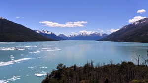 DSC05939 (2)    